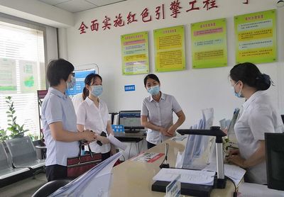 志愿服务互联共建，技术咨询赋能蔡甸文明典范城市创建